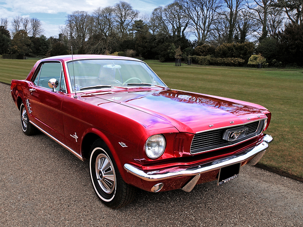 Stunning 1966 Metallic Red Mustang Print