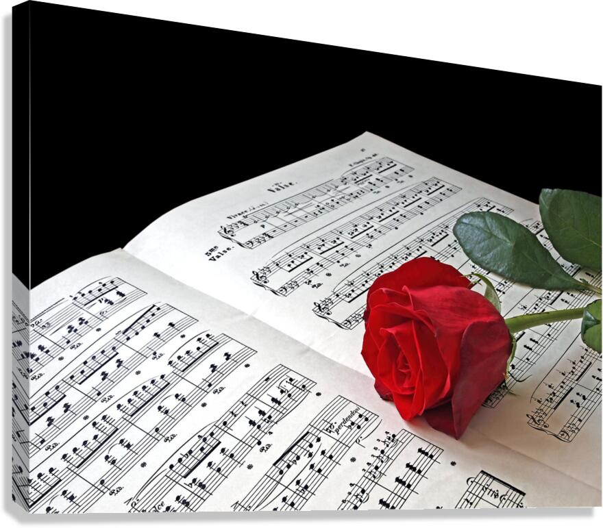 Music Lover Canvas Print