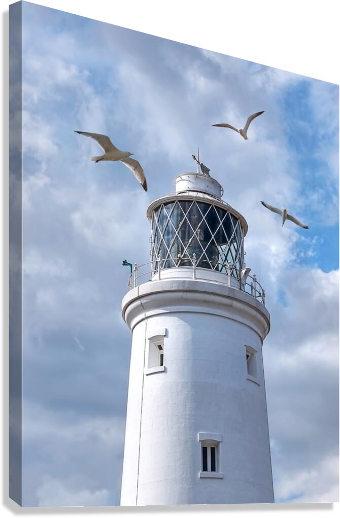 Fly Past - Seagulls Round Southwold Lighthouse Canvas Print