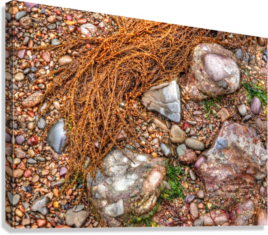 Pebbles On The Beach Canvas Print