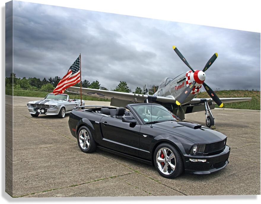 Three Generations  Canvas Print