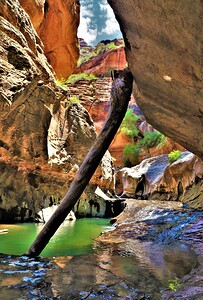 Subway Zion National Park
