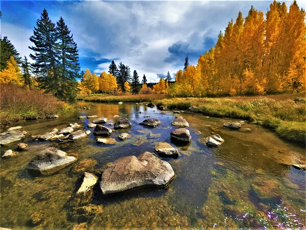 Duck Creek fall 22 Print