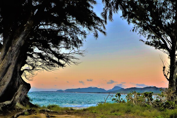 sunset trees hawaii Print