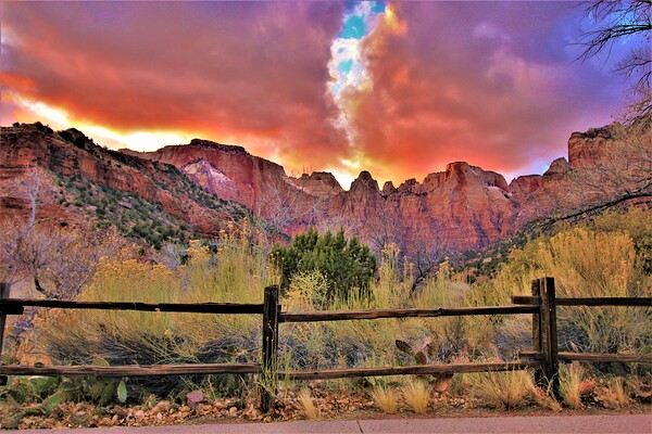 sunset zion fence Print