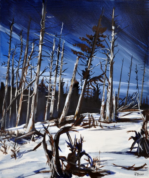 Forest Monuments  Print