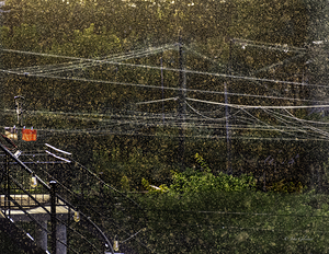 10461 Light Summer Rain by John Gilsenan 