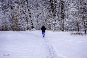 10577 Snowy Run In Parc Angrignon