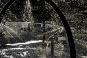 10848 Afternoon Splash by John Gilsenan 