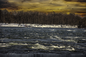 10956  Ile aux Heron