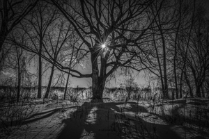10975 Le Matin aux Rapides  by John Gilsenan