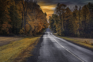 10995 Williamstown Fall Day by John Gilsenan