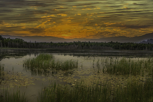 11138 Lake Silver Manitoulin Island by John Gilsenan