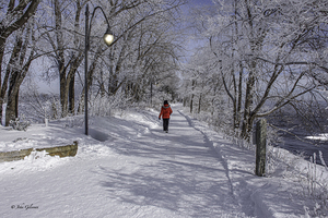 11468 Winter Wonder Land by John Gilsenan 