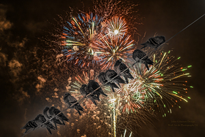 11003 Birds on the wire Edit