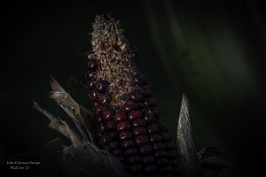 11526 Corney ...... by John Gilsenan 