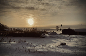 11469 Bainsville Morning