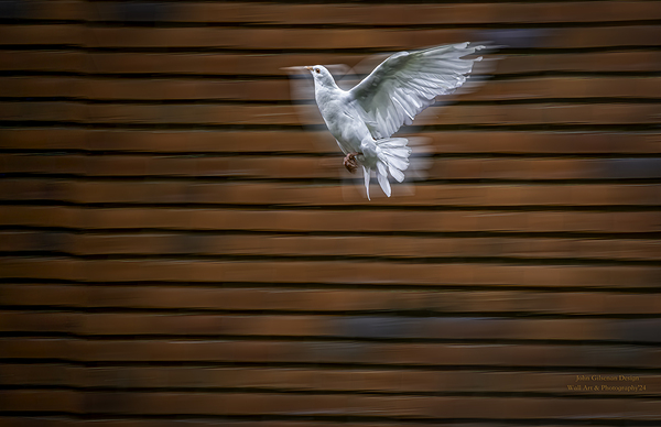 10296 B  Whiting Print