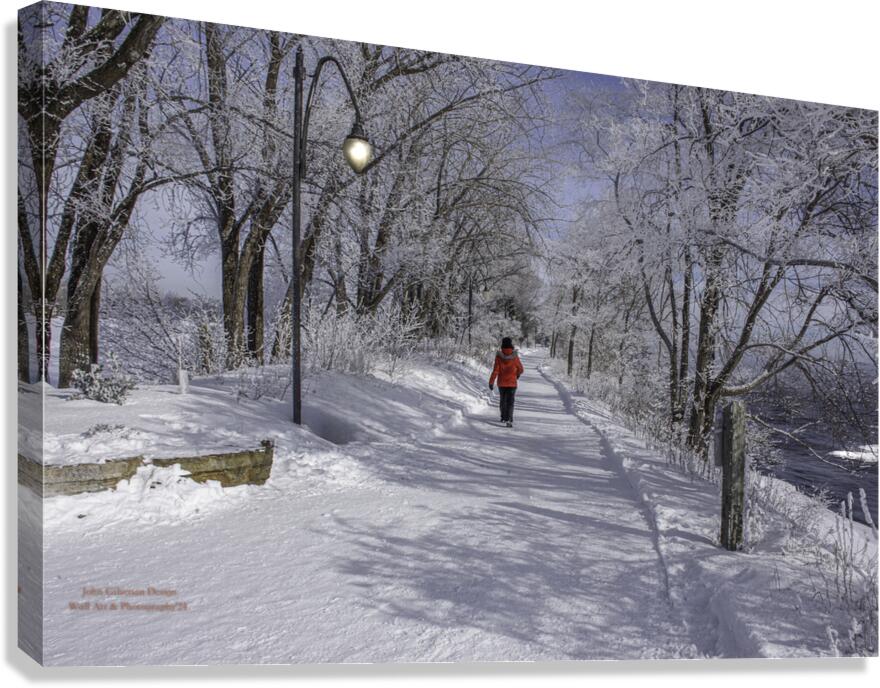 11468 Winter Wonder Canvas Print