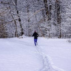 10577 Snowy Run In Parc Angrignon