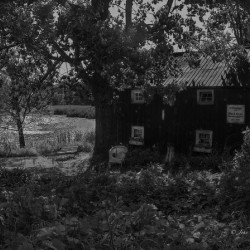 10782 Black River Cheese Co. PEC