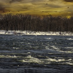 10956  Ile aux Heron