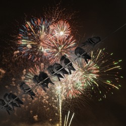 11003 Birds on the wire