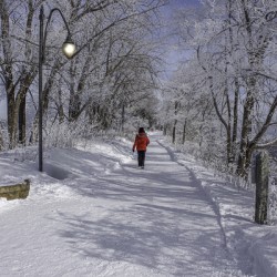 11468 Winter Wonder Land