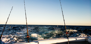 Fishing in the Gulf