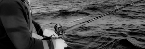 Fishing for Snapper