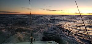 Gulf Fishing