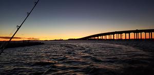 Bay Fishing
