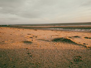 Low tide 