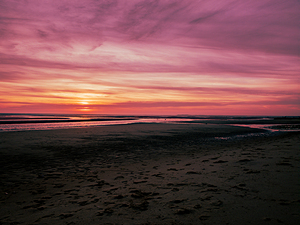Sailors Delight