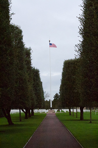Flag in the Park