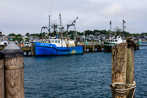 Fishing boats
