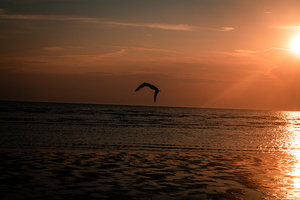 Sunset at Cape Cod Bay