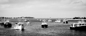 Well Fleet MA Fishing Boats