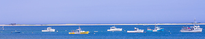 Ships at Anchor 