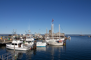 Fishing Boats at the dock