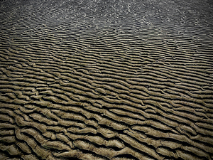 Changing Sands