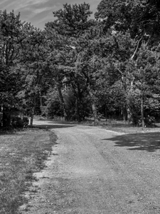 Old dirt path