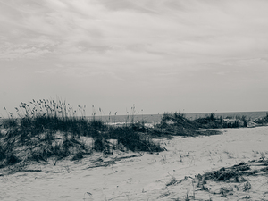 Wind Worn Beach