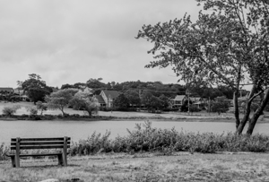 Black & White Park Bench with Lake
