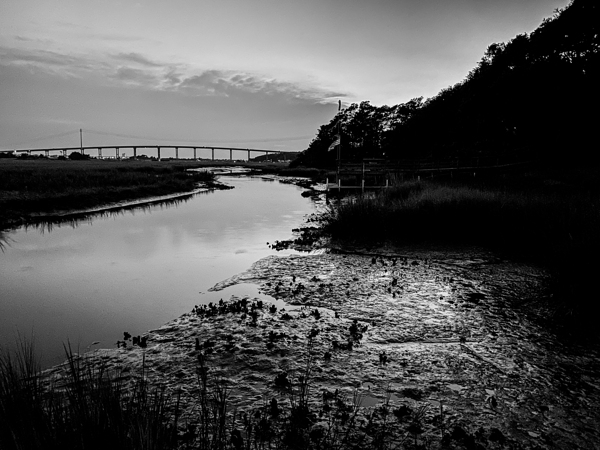 Oyster Beds by DirtyBirdStudio