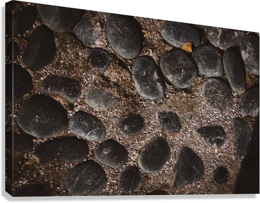 Rocks Canvas Print