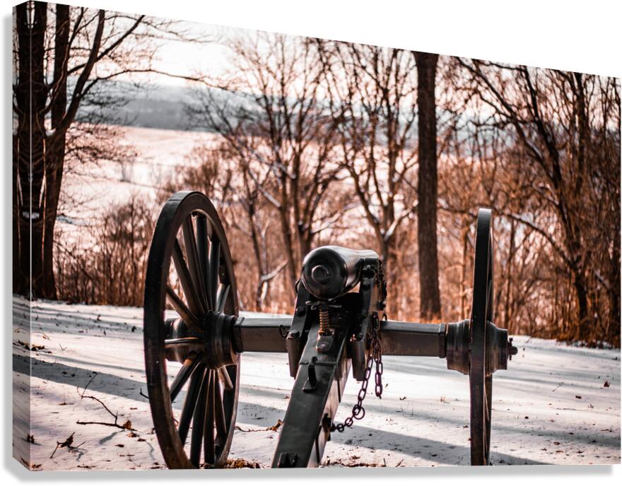Winter Canon Canvas Print