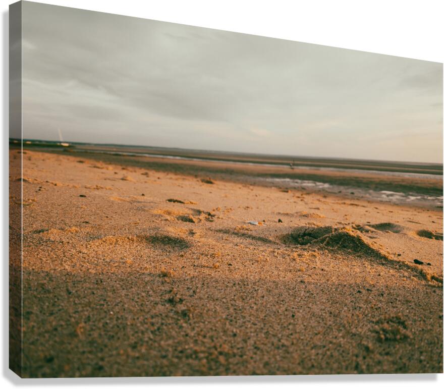 Low tide  Canvas Print