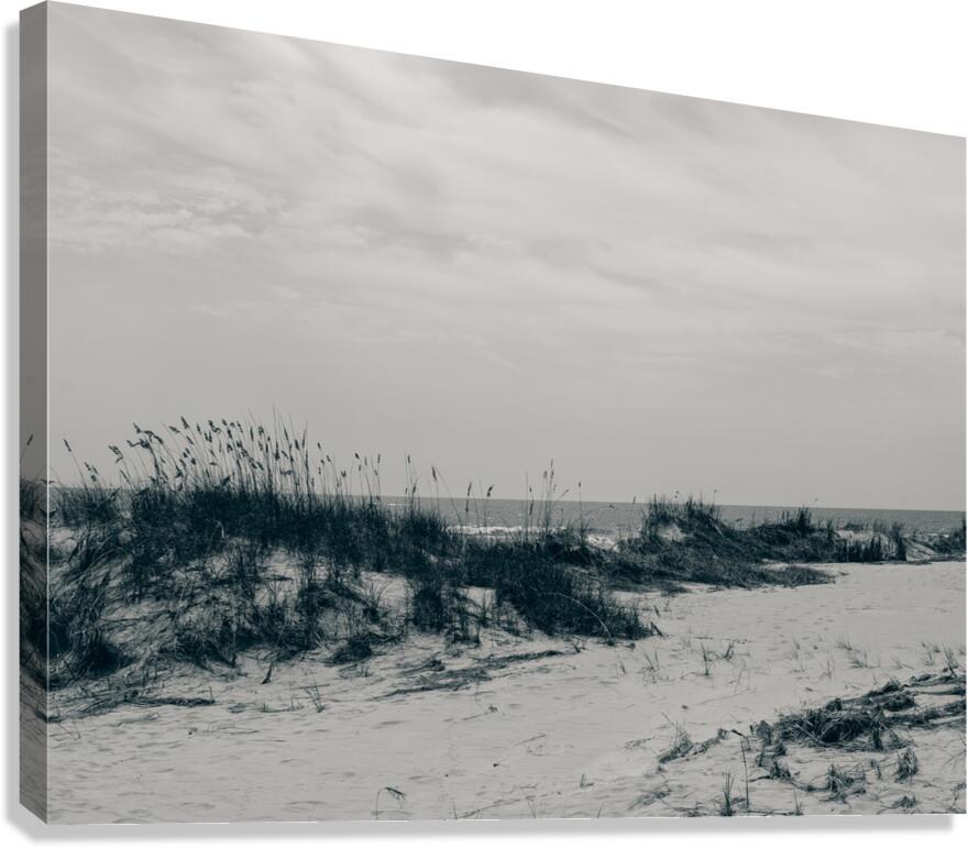 Wind Worn Beach Canvas Print
