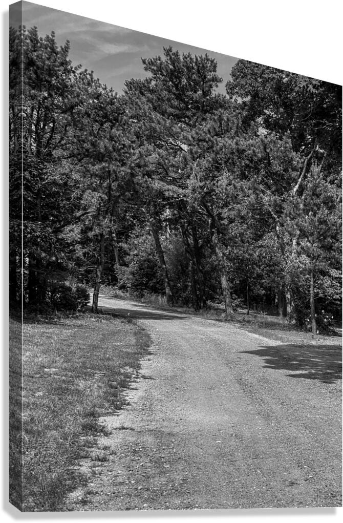 Old dirt path Canvas Print